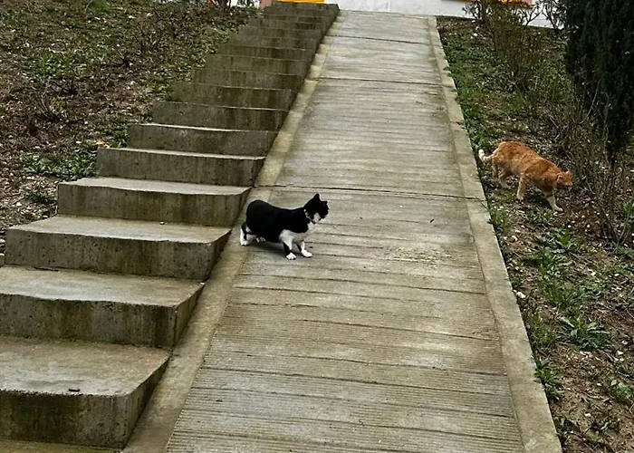 Xe Urban Nest Appartement *